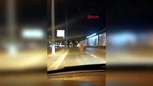 İstanbul çevre yolunda kurbanlık boğa alarmı! Trafiğin içine daldı
