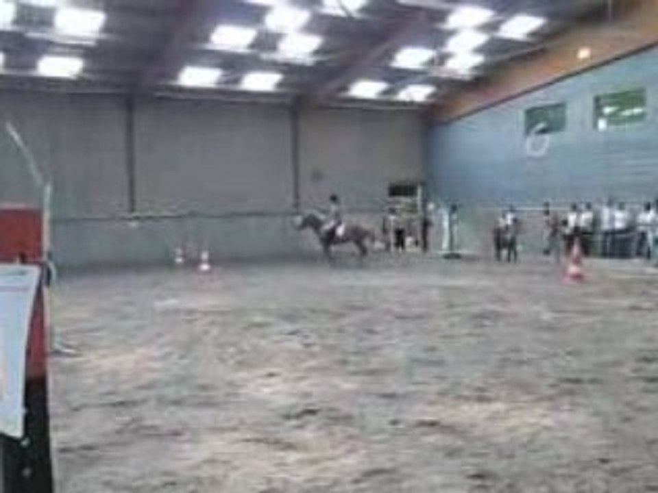 Marine & Mikado - Concour 2 / 2008