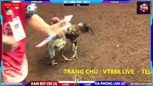 Xám bút chì vs Tía phóng lơn hồ 3