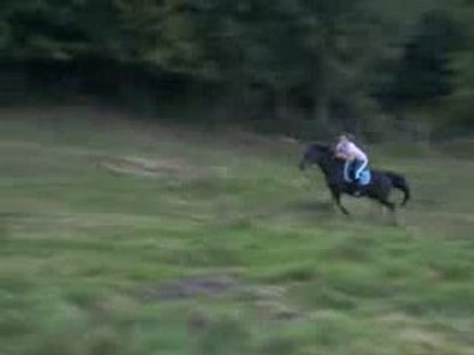 Sprint ac ma Pur Sang !ça décoiffe !