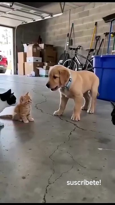 Funny