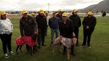 Tasmanian government’s $4.8 million plan to phase out greyhound racing