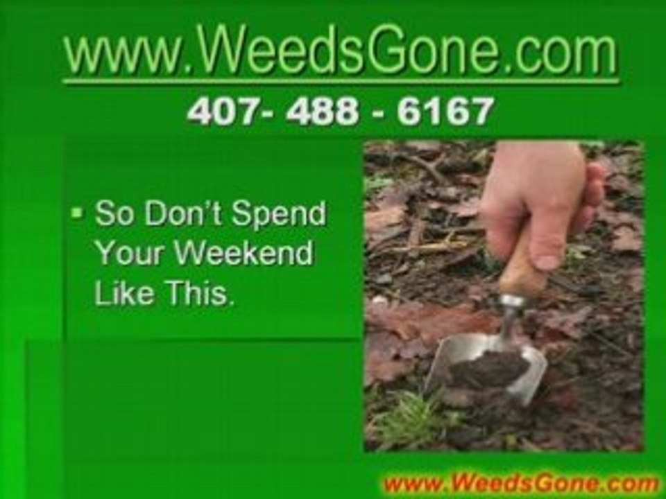 Orlando Weed Control