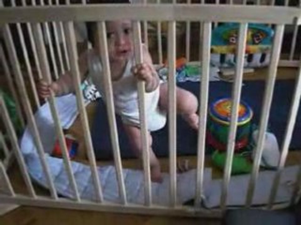 Petit rat à la barre