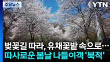 벚꽃길 따라, 유채꽃밭 속으로...따사로운 봄날 나들이객 '북적' / YTN