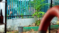 L_ Langoy_360P