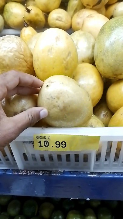 Oferta de Maracujá em Pernambuco! Fresh Passion Fruit price in Brazil! 🥭🇧🇷