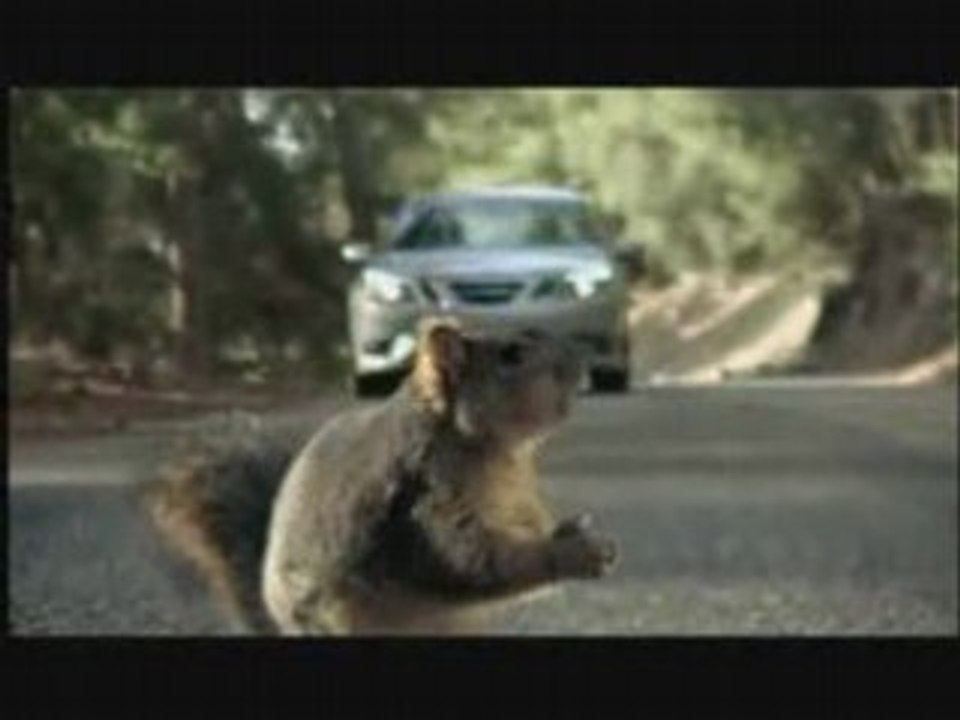 Pub Bridgestone (Ecureuil)