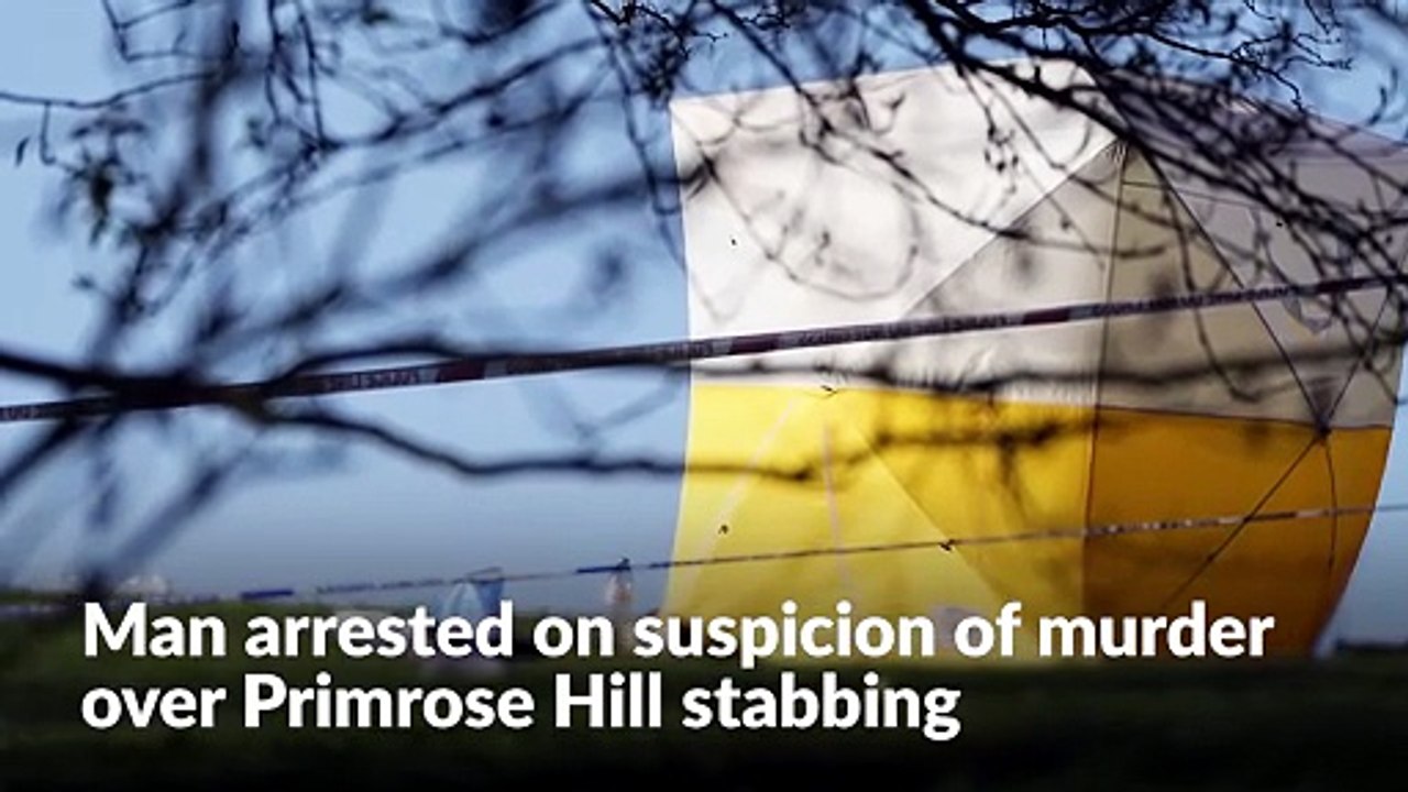 Man arrested on suspicion of murder over Primrose Hill stabbing