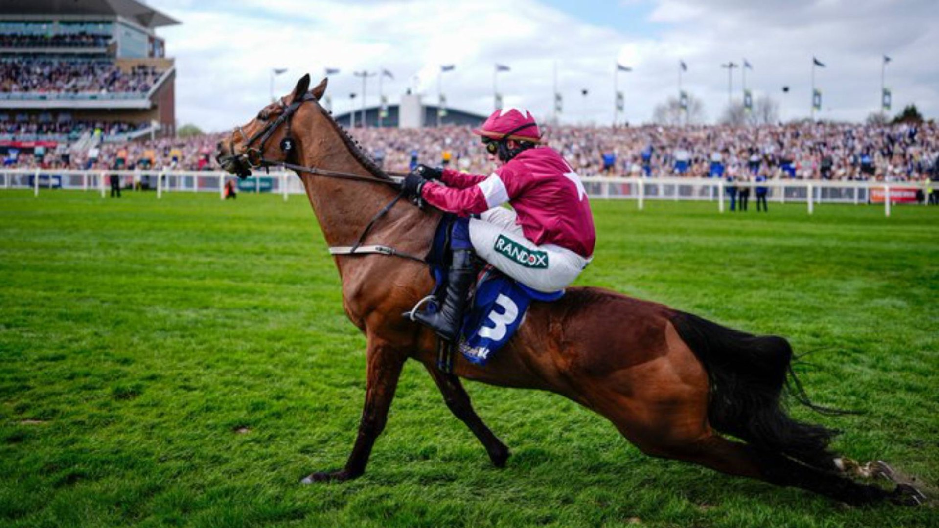 Indignación por la muerte de 'Gold Dancer' tras romperse la espalda y forzarle a continuar para ganar