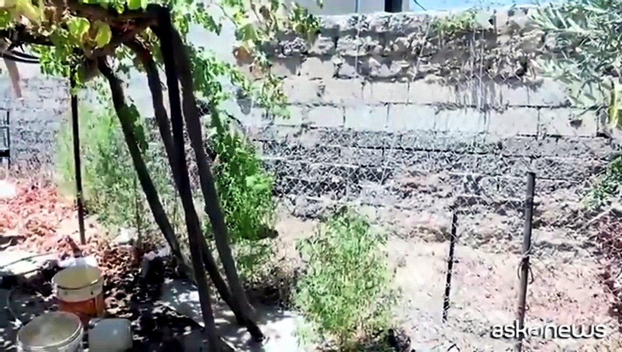 Una donna contro l'Isis per salvare la sua vigna