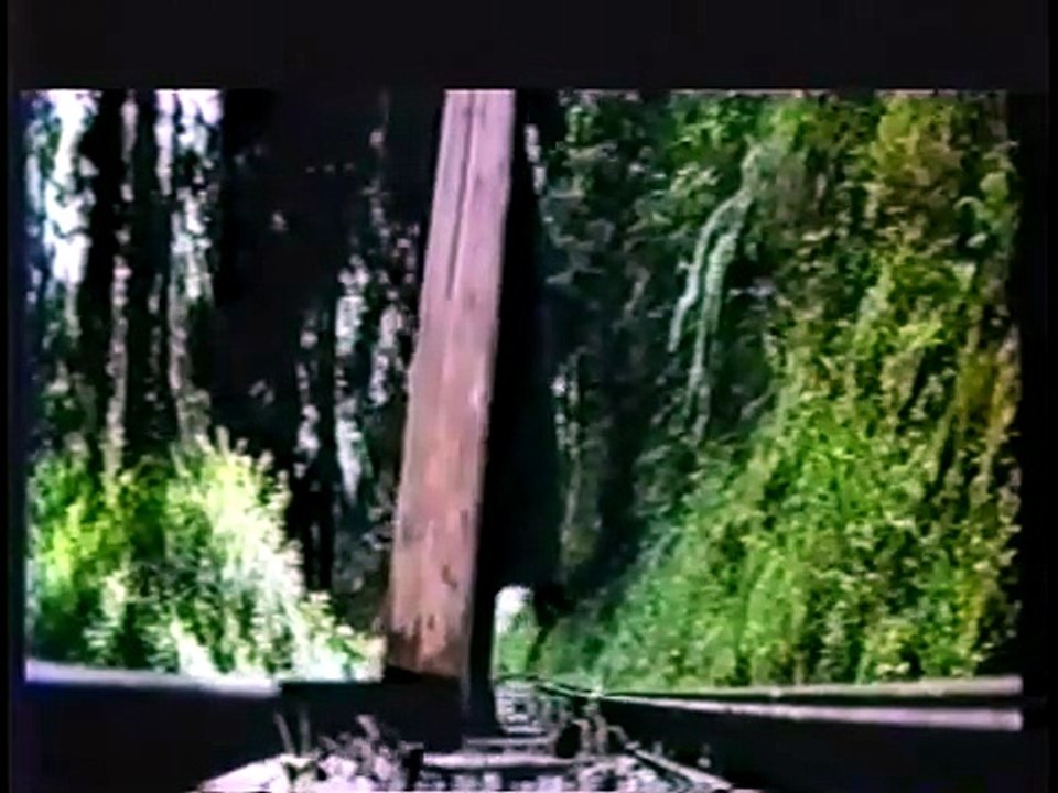 Fury in a Storm (1974) // Classic Kung Fu Movies