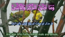 Surah Lail Full with Arabic Text and English Translation 📖