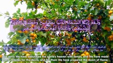 Your Shield Against the Punishment of the Grave ✨ | Surah Al-Mulk Tilawat