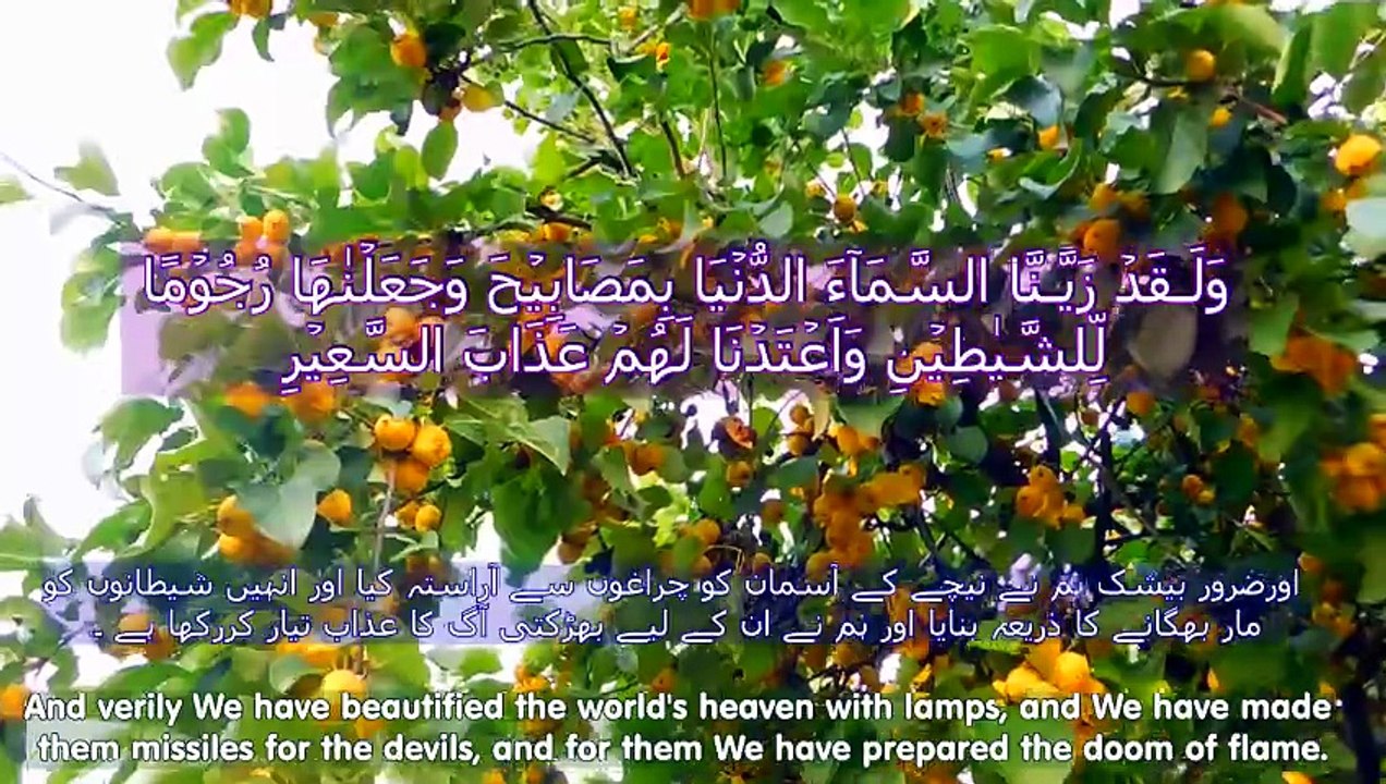 Your Shield Against the Punishment of the Grave ✨ | Surah Al-Mulk Tilawat