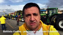 Manifestazione Coldiretti (video interviste)