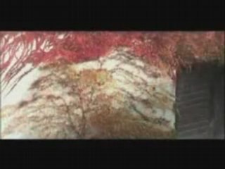 anasheed : beauté de la nature