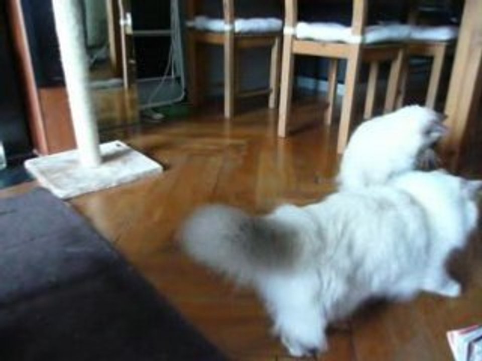 nous on aime jouer ensemble