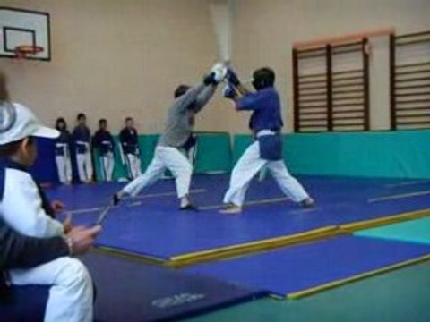 démo de yoseikan budo lyon