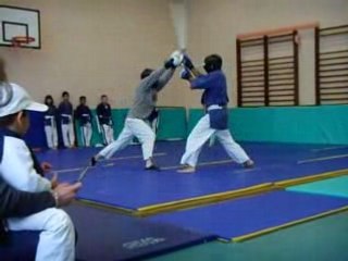 démo de yoseikan budo lyon