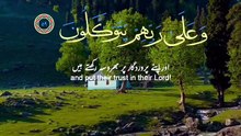 Beautiful Quran Recitation | Heart Touching Tilawat | Peaceful Voice