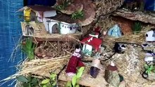Presepe nel mirino di vandali e ladri