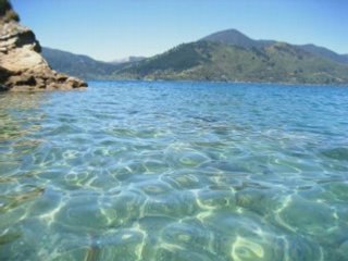 Mario winans & the game      .brand new  .  2008