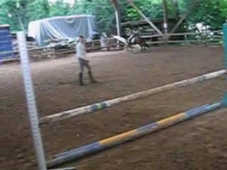 Clara et Salsa, saut de puce