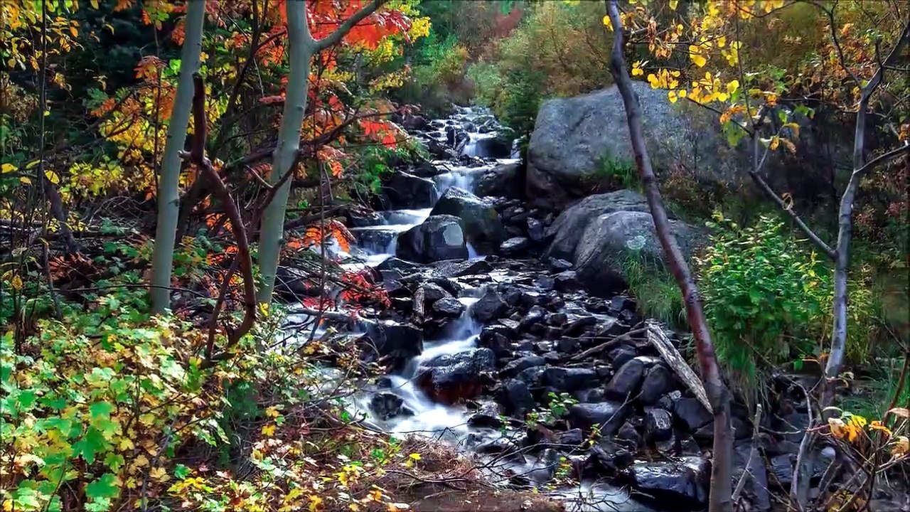 April Kry - Hurry up and Wait