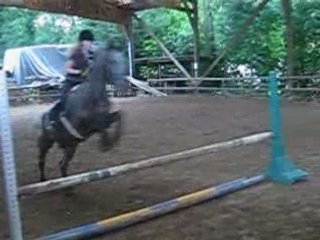 Diane et Gus, saut de puce