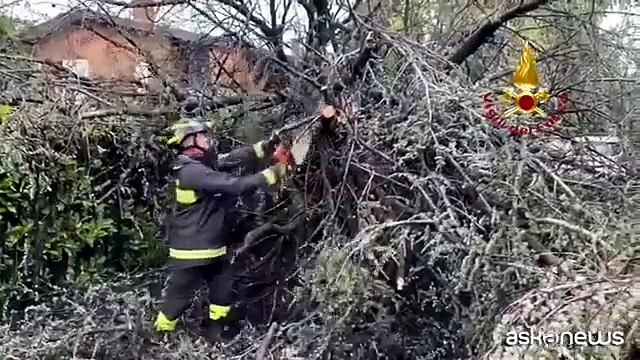 Maltempo, una donna muore schiacciata da un albero