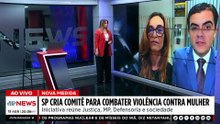 Governo de SP institui comitê permanente contra a violência à mulher; advogada comenta