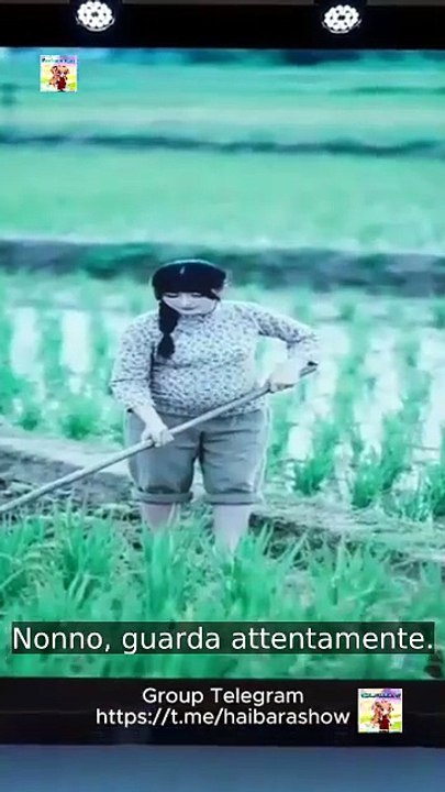 Famiglia accidentale | Film Completo in Italiano