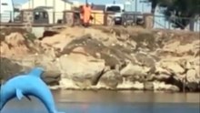 Operatore ecologico getta i rifiuti in mare anziché raccoglierli: il video choc da Porto Torres