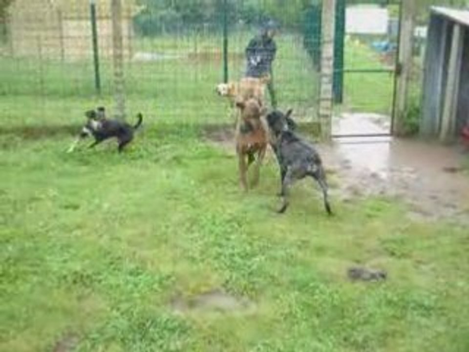Ixia, Debby, Marcel, ça pulse !