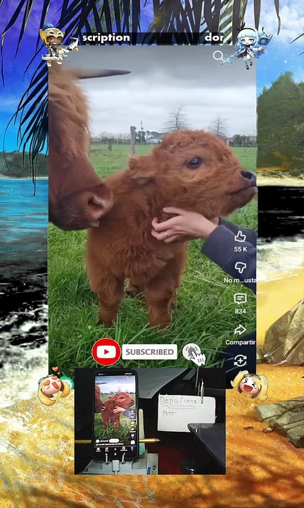 Just shorts videos 😜😜😜 😜  #shorts #trending