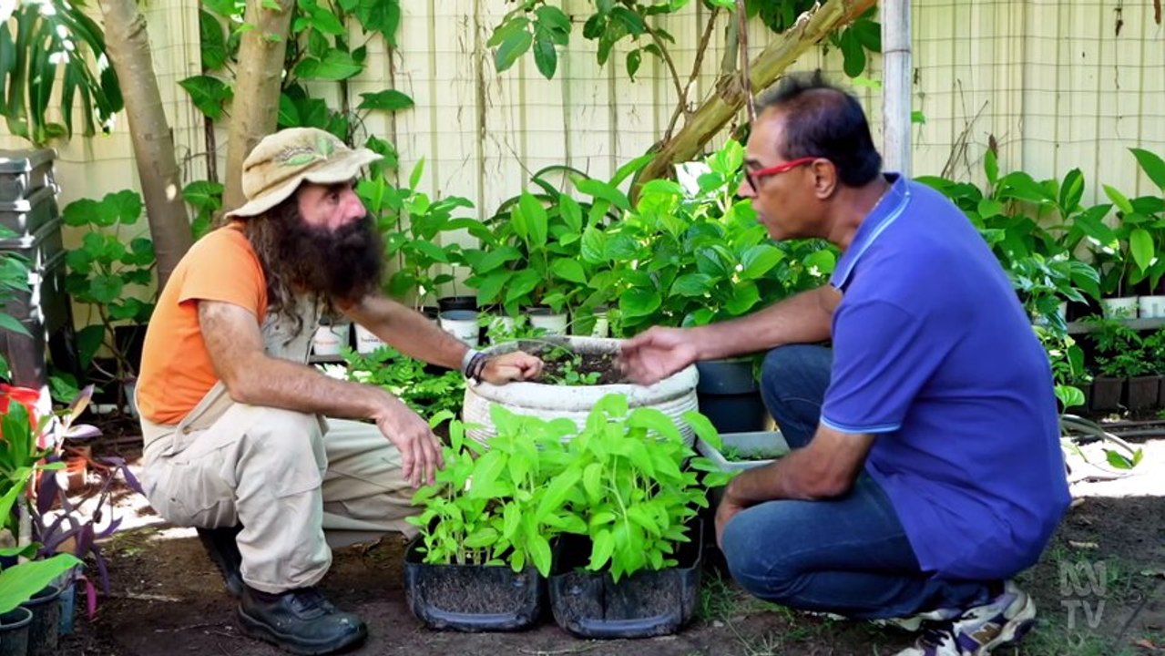 Gardening Australia S37E09