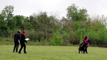 MVI_3063