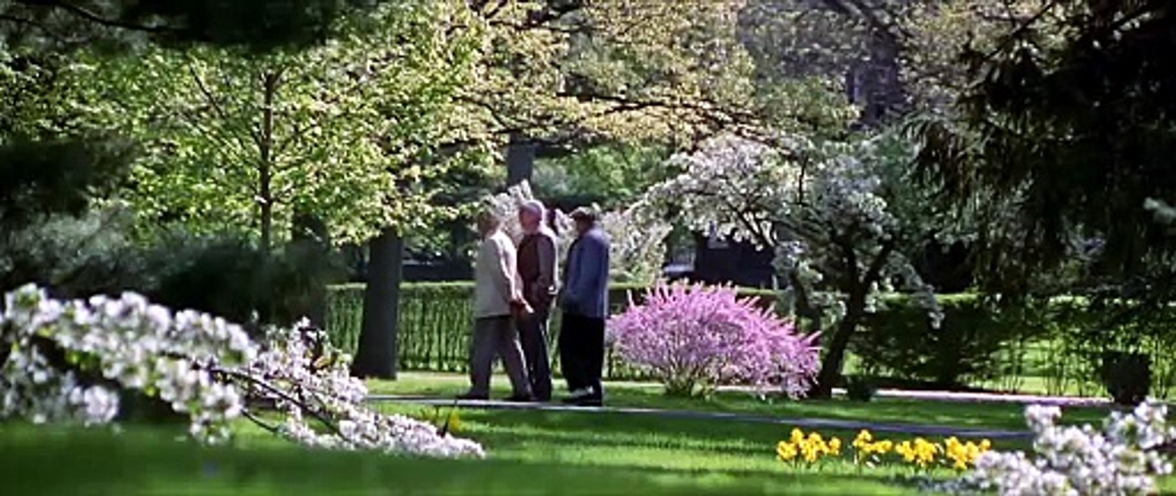 I.Q. - Liebe ist relativ (1994)