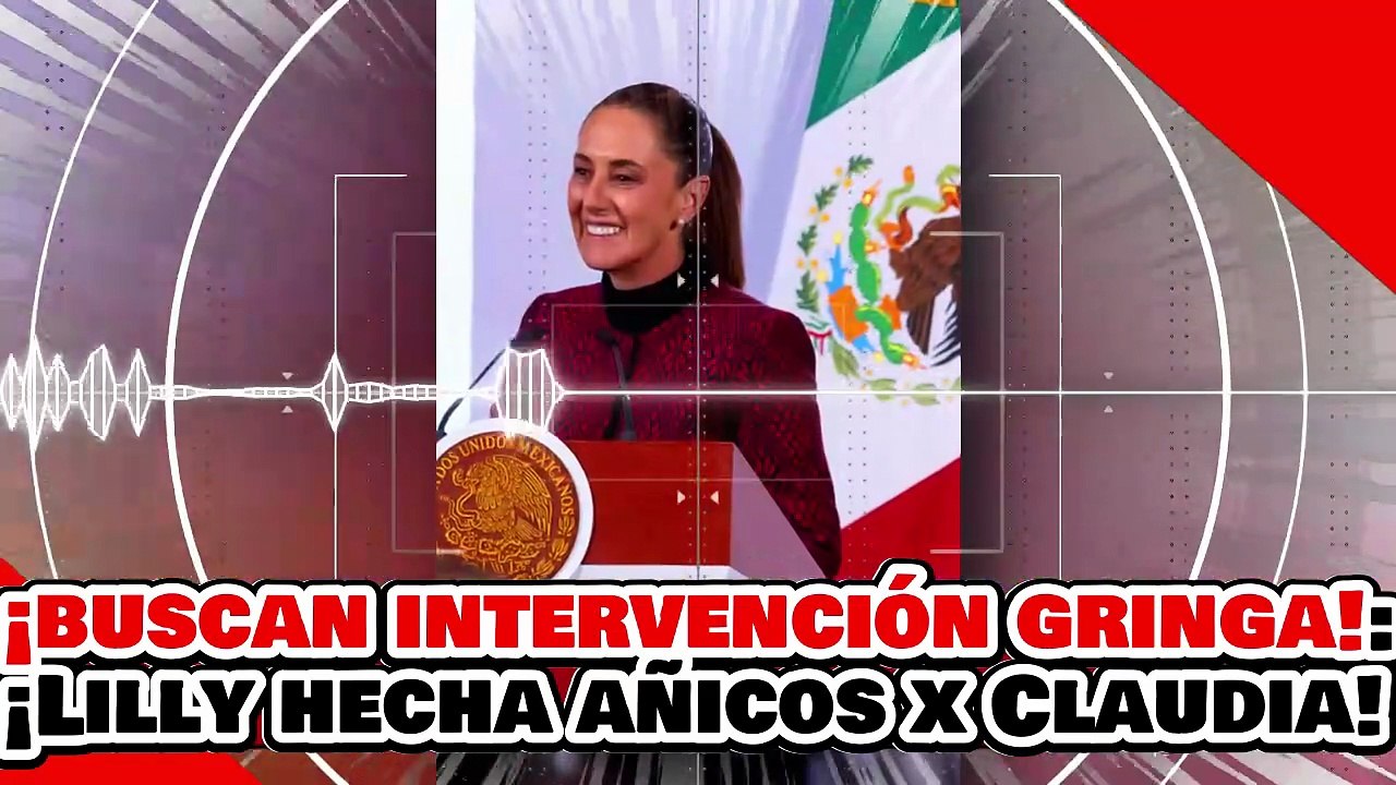 🔥🚨¡BUSCA INTERVENCIÓN GRINGA! ¡LA SURIPANTA LILLY es HECHA AÑICOS por la PRESIDENTA por TRAIDORA!