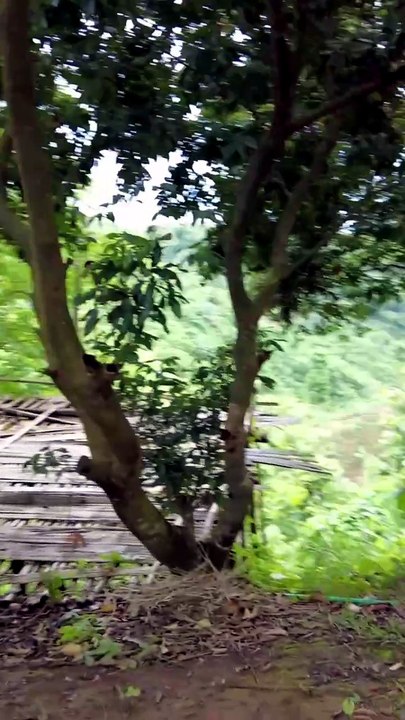 Experiencing Tranquility and Sustainability Eco Villa Resort in Bandarban 07