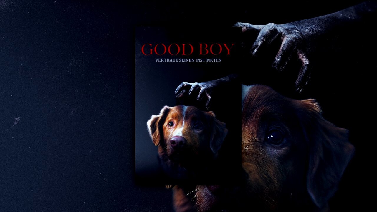 Good Boy - Trust His Instincts (2025) | Official Trailer [HD]