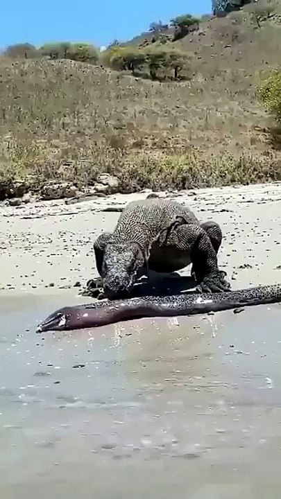 Don't taste everything you see! 😂