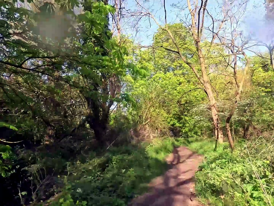 Sortie VTT verdoyante à 3 sous le soleil ☀️