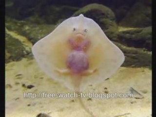 my photos collection - cute, funny, weird, superimposed