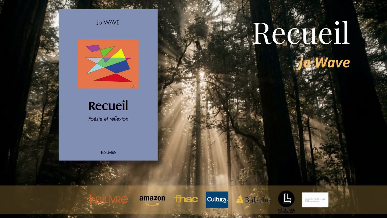 Recueil - Jo Wave