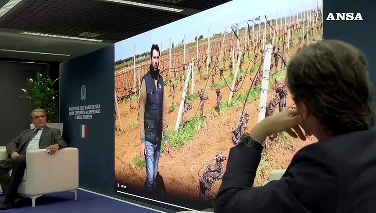 Agea, una nuova app per far "parlare" i territori che producono vino
