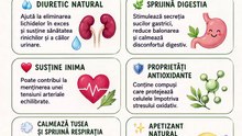 Leusteanul - beneficii si proprietati