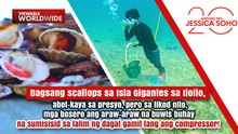 Mga bosero, buwis-buhay sa lalim ng dagat gamit lang ang compressor! | Kapuso Mo, Jessica Soho