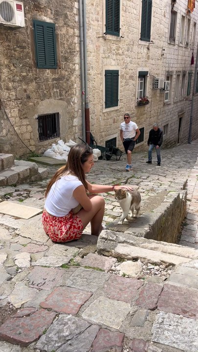 Pourquoi y a-t-il autant de chats à Kotor ?C'est l'une des premières choses qui nous a frappés en arrivant ici : les ruelles sont remplies de chats... et ils sont adorés par les habitants !Partage cette vidéo à quelqu'un qui adore les chats 😻